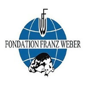 TiN-franzweber