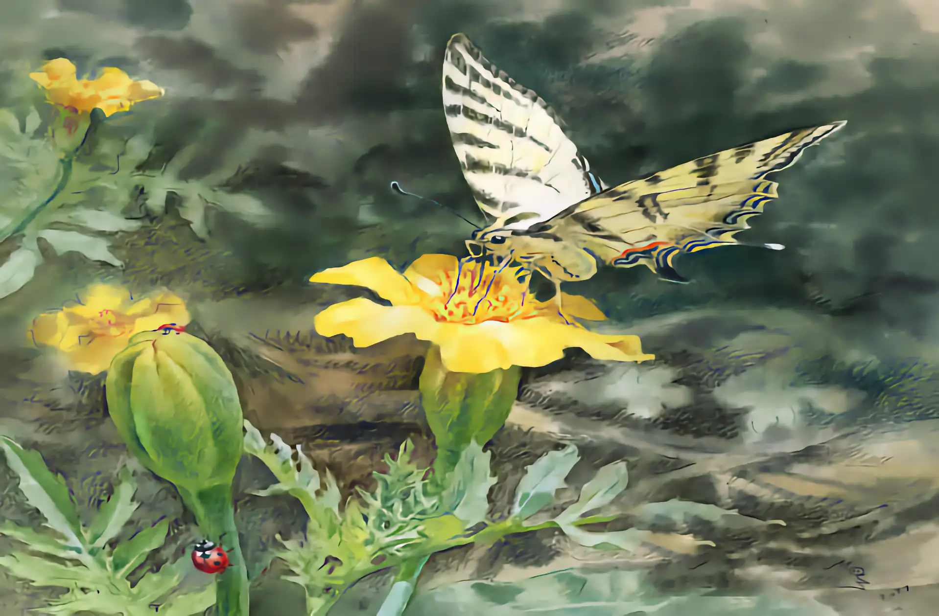 zentrum für zen-buddhismus